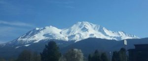 Mt Shasta sweetness